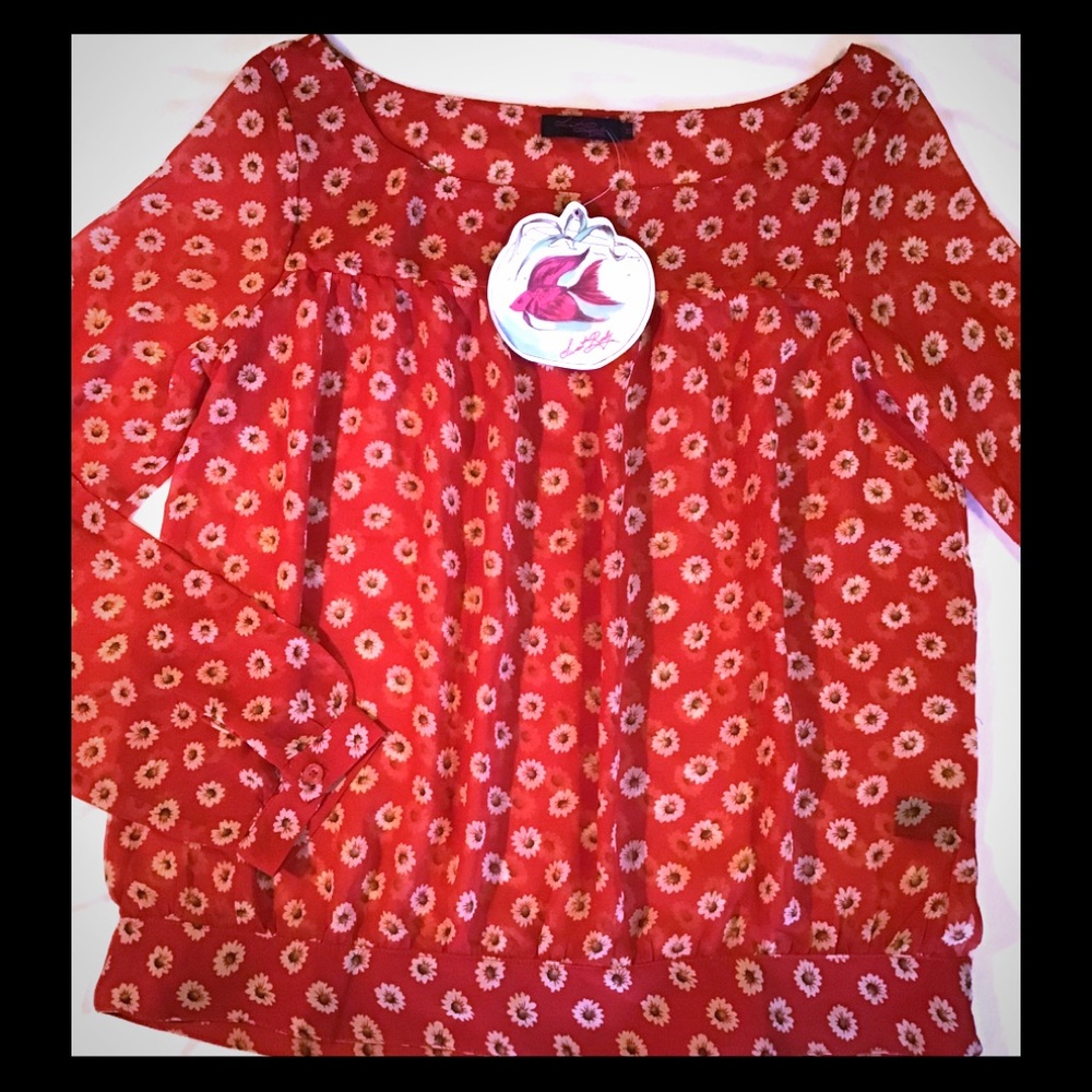 NWT❗️sheer blouse